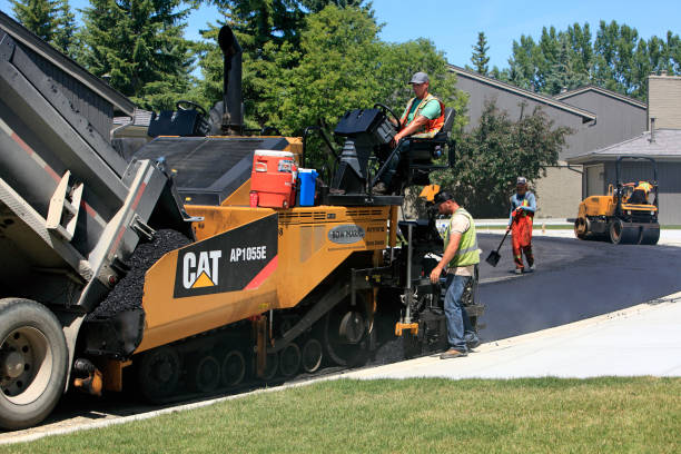 Best Permeable Paver Driveway  in Forestbrook, SC